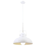 Подвесной светильник Arte Lamp MARTIN A5213SP-1WG