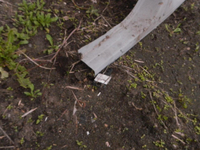 DSCN3310.JPG