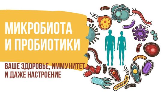 Что такое психобиотики и как они могут изменить нашу жизнь