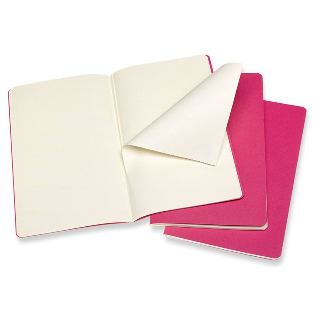 Блокнот Moleskine Cahier Journal Large нелинованный (CH018D17)