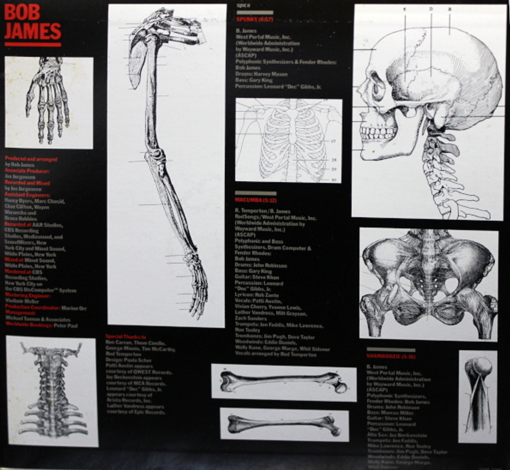 Bob James / Hands Down (LP)