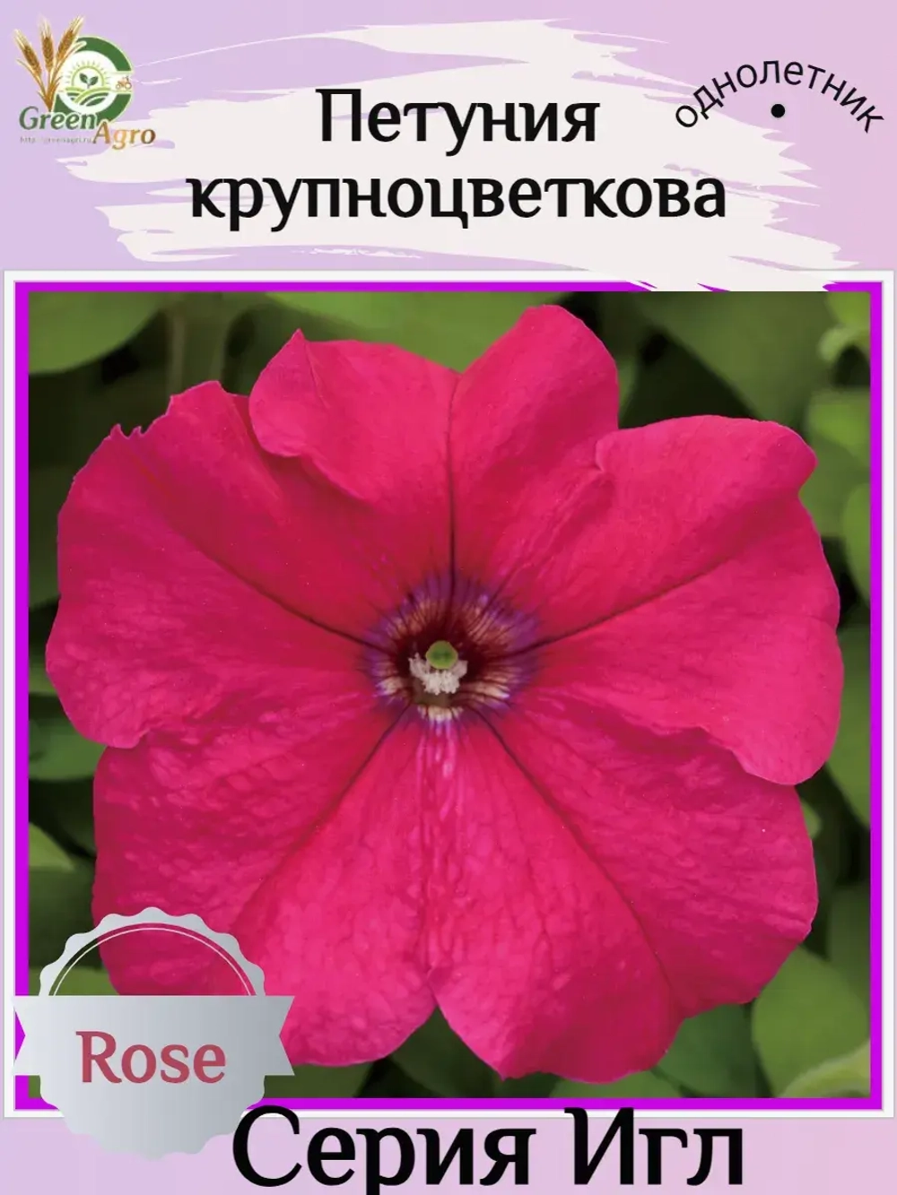 Семена Петуния Крупноцветковая