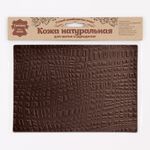 Кожа натуральная в листах фактурная А5 (21*14,8см) Абстракция Штрихи, 100% кожа (03 темно-коричневый) 7016
