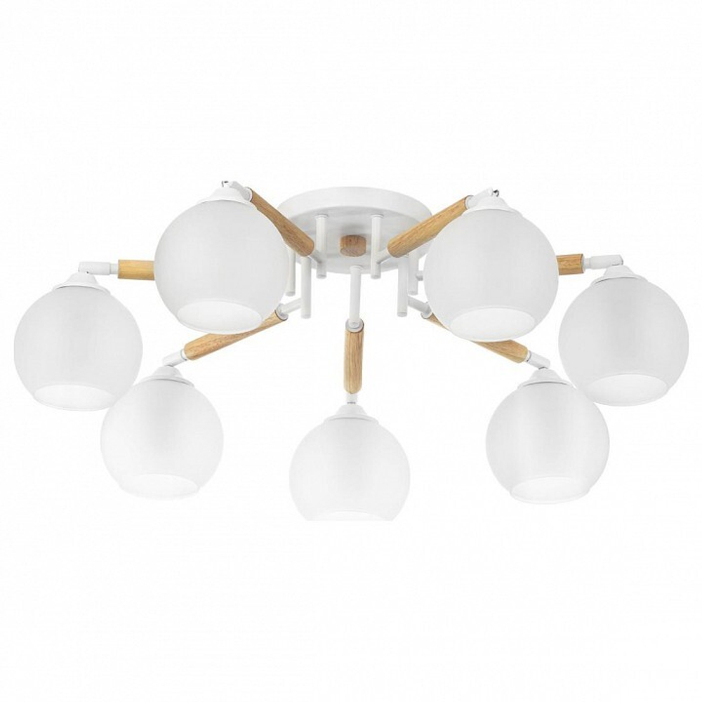 Потолочная люстра Citilux Tika CL133170