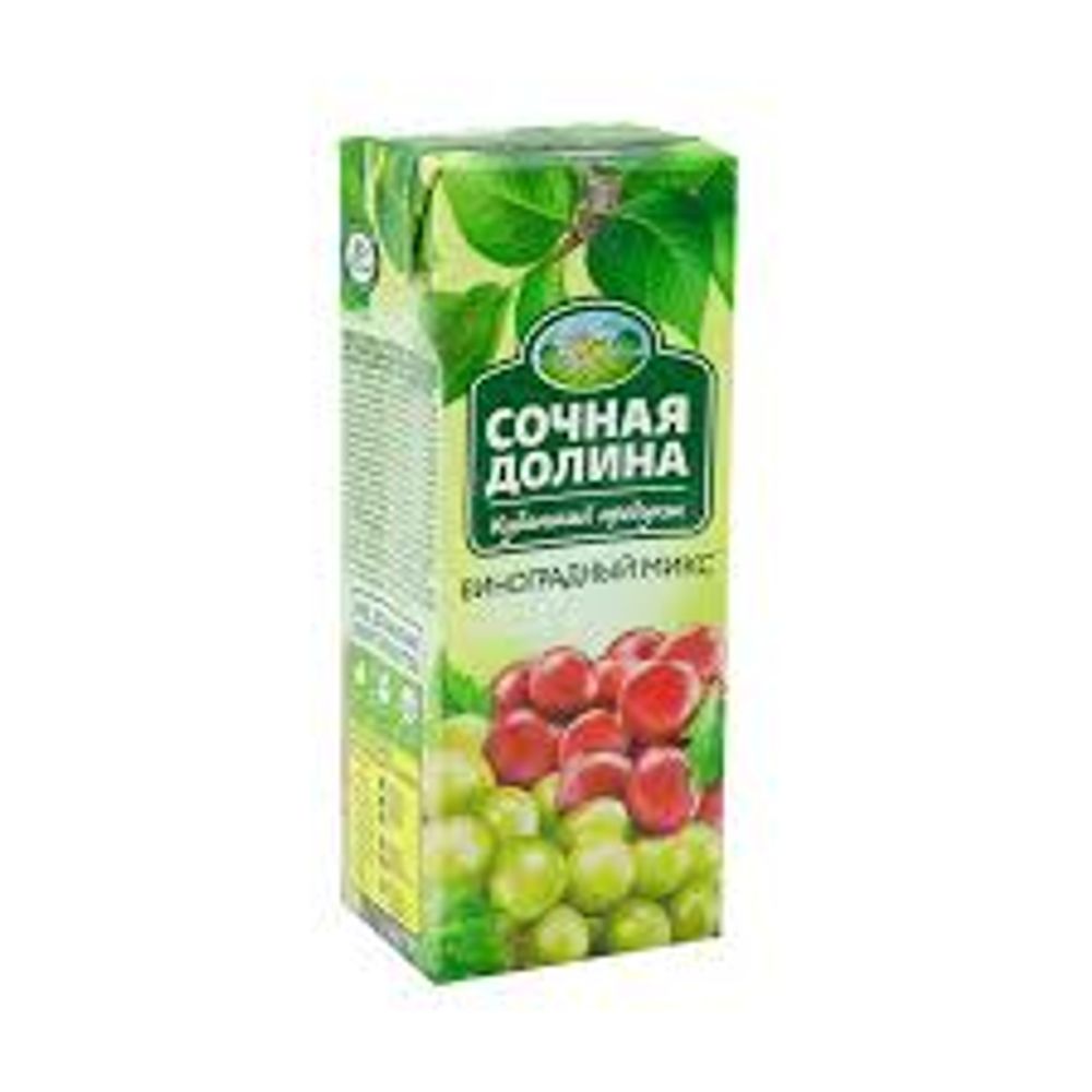 Нектар Сочная долина 0,2л Виноградный микс