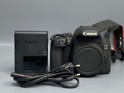 Canon EOS 850D — 13 800 кадров