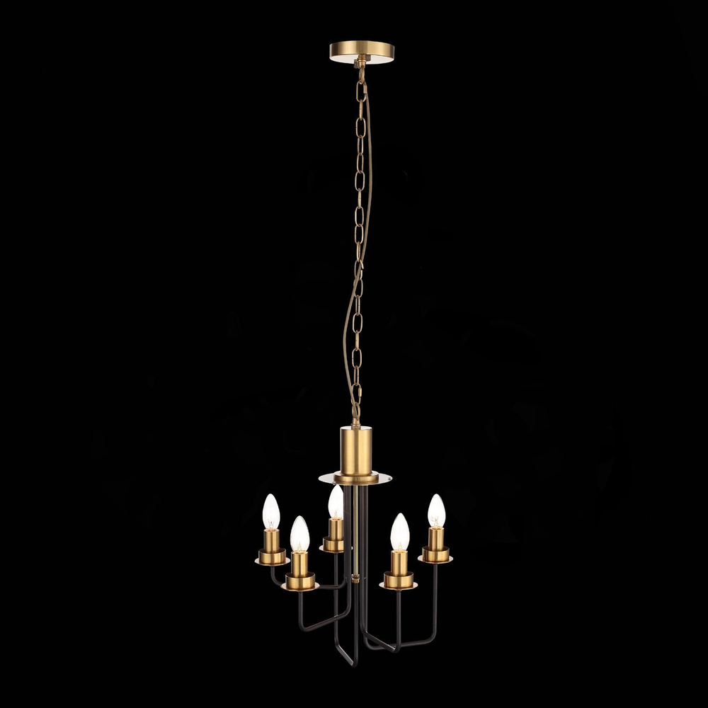 Люстра подвесная ST Luce Delavera SL336.303.05