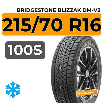 Bridgestone Blizzak DM-V2 215/70 R16 100S