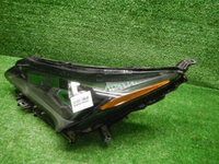 DSCN4618.JPG