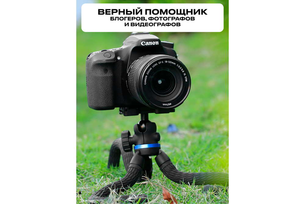 Штатив компактный RayLab MTF-SCB с головой и держателем для смартфона