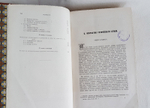 "Руководство к истории искусств Франца Куглера". Вильгельм Любке. 1869г. - антикварное издание