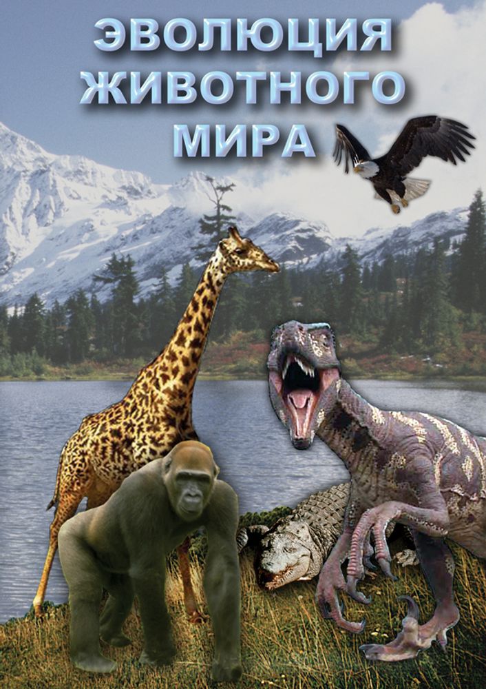 Видеофильм "Эволюция животного мира" DVD