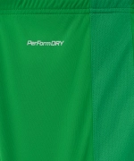 Шорты игровые Jogel DIVISION PerFormDRY Union Shorts-K, зеленый 72