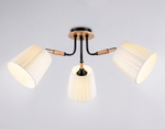 Потолочная люстра Ambrella Light TR TR4731
