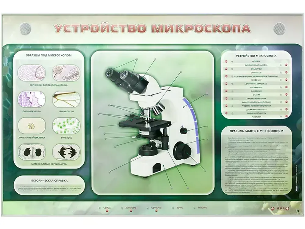 Электрифицированный стенд "Устройство микроскопа и правила работы c ним" Зарница