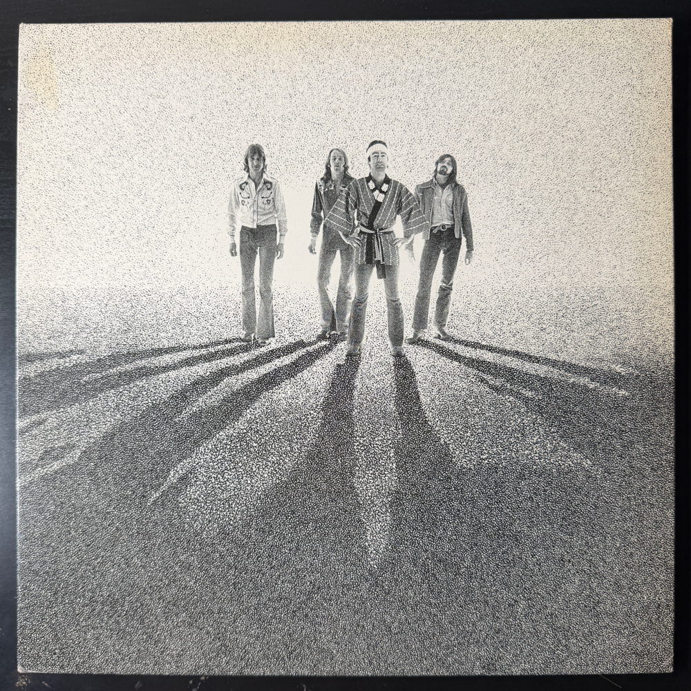 Виниловая пластинка Bad Company - Burnin' Sky LP