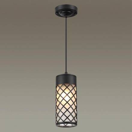 4834/1 NATURE ODL21 706 черный/стекло Ландшафтный светильник-подвес E27 1*60W IP44 DUNES