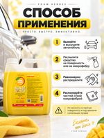 Foam Heroes Blaze Booster Mango керамический детейлер-спрей, 3л