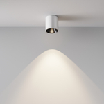 Накладной светодиодный светильник Maytoni Alfa LED C064CL-5W4K-RD-WB