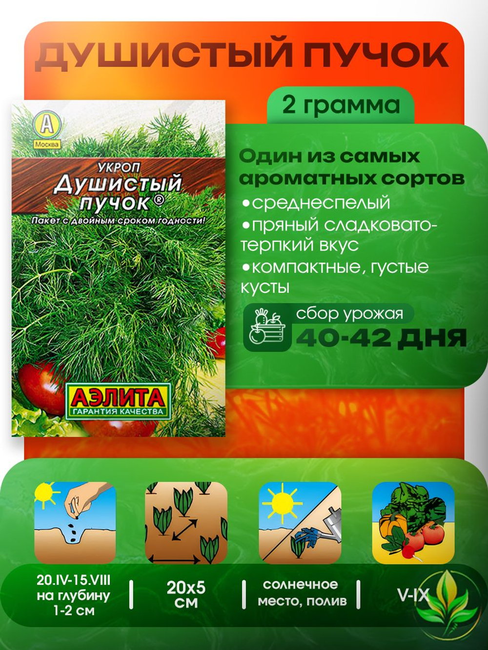 Набор семян для посадки, Петрушка, 5-ти сортов, 10гр. семян.