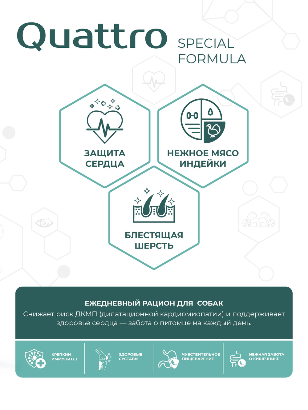 Корм для собак средних и крупных пород SF Cardio Guard, (дилатационная кардиомиопатия), 3 кг, QUATTRO