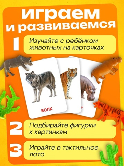 Развивающий набор фигурок для детей «Дикие животные» с карточками, по методике Домана