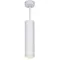 Подвесной светильник Topper DLR023 12W 4200K Elektrostandard