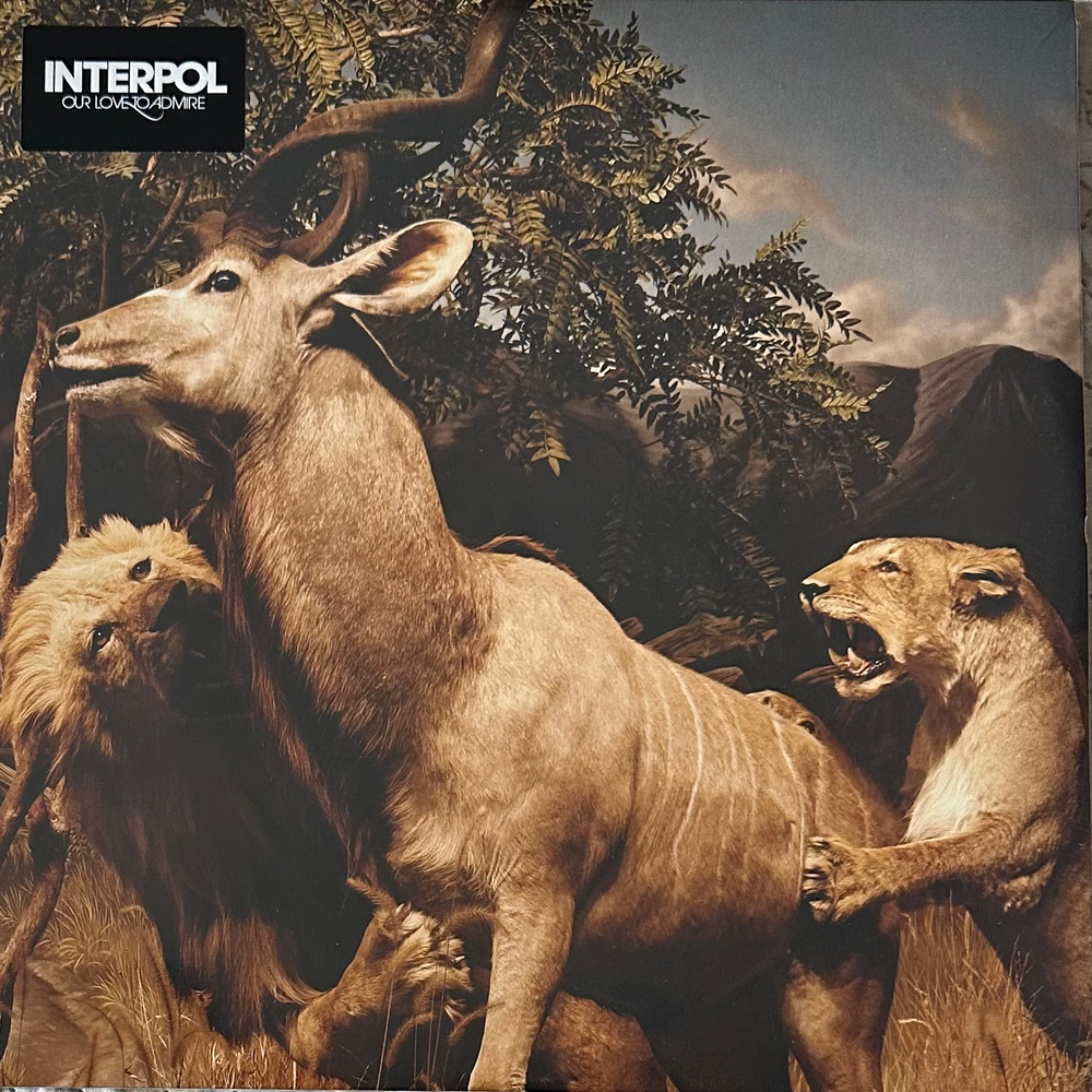 Interpol ‎– Our Love To Admire 2LP (Европа 2020г.)