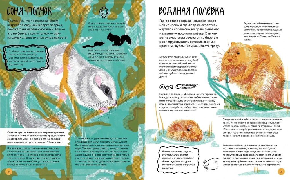 Вот так капибара!