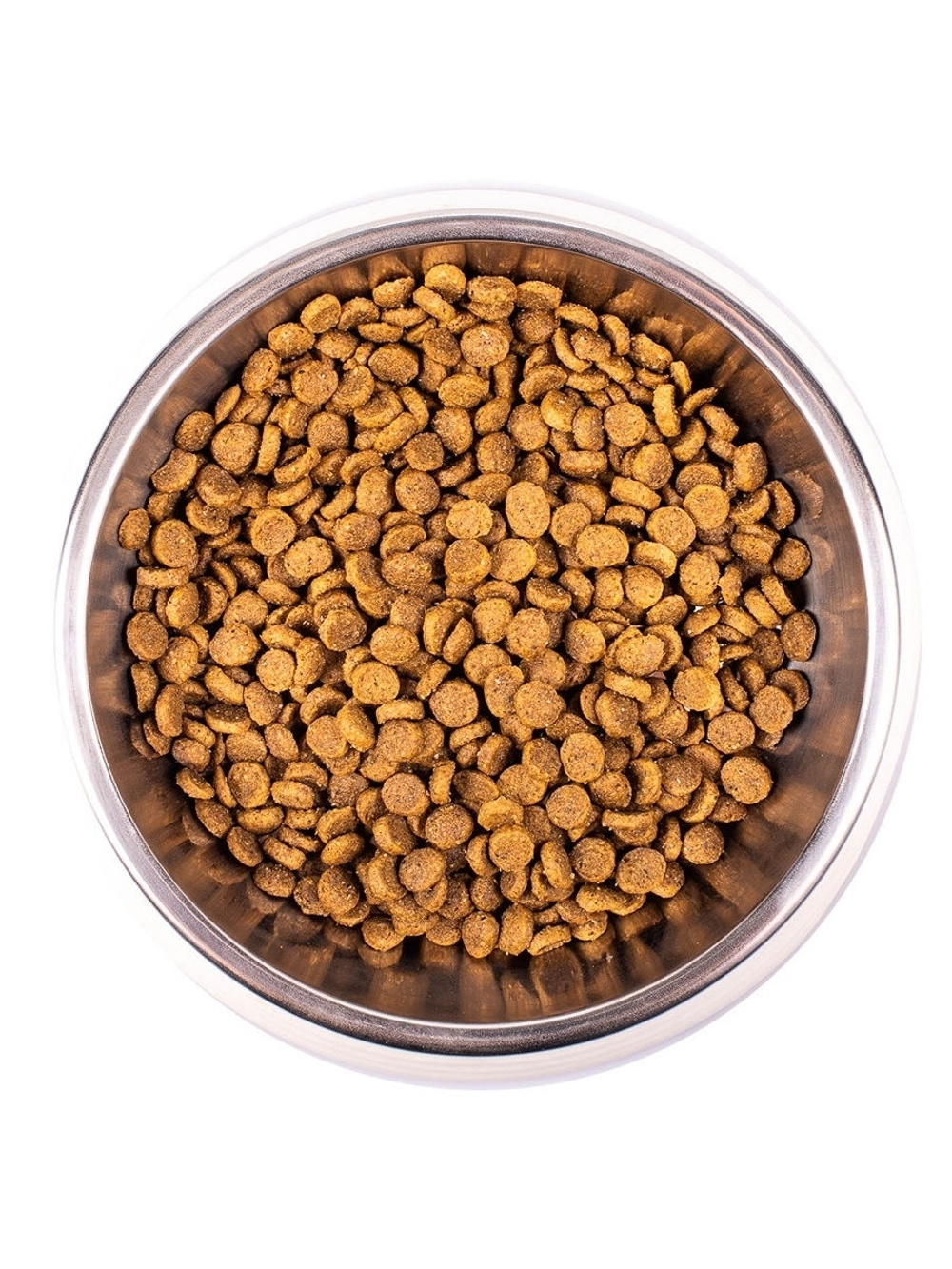 Сухой корм Monge Kitten для котят, курица, 1.5 кг