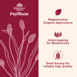Organic India, Органический порошок подорожника, 170 г (6 унций)