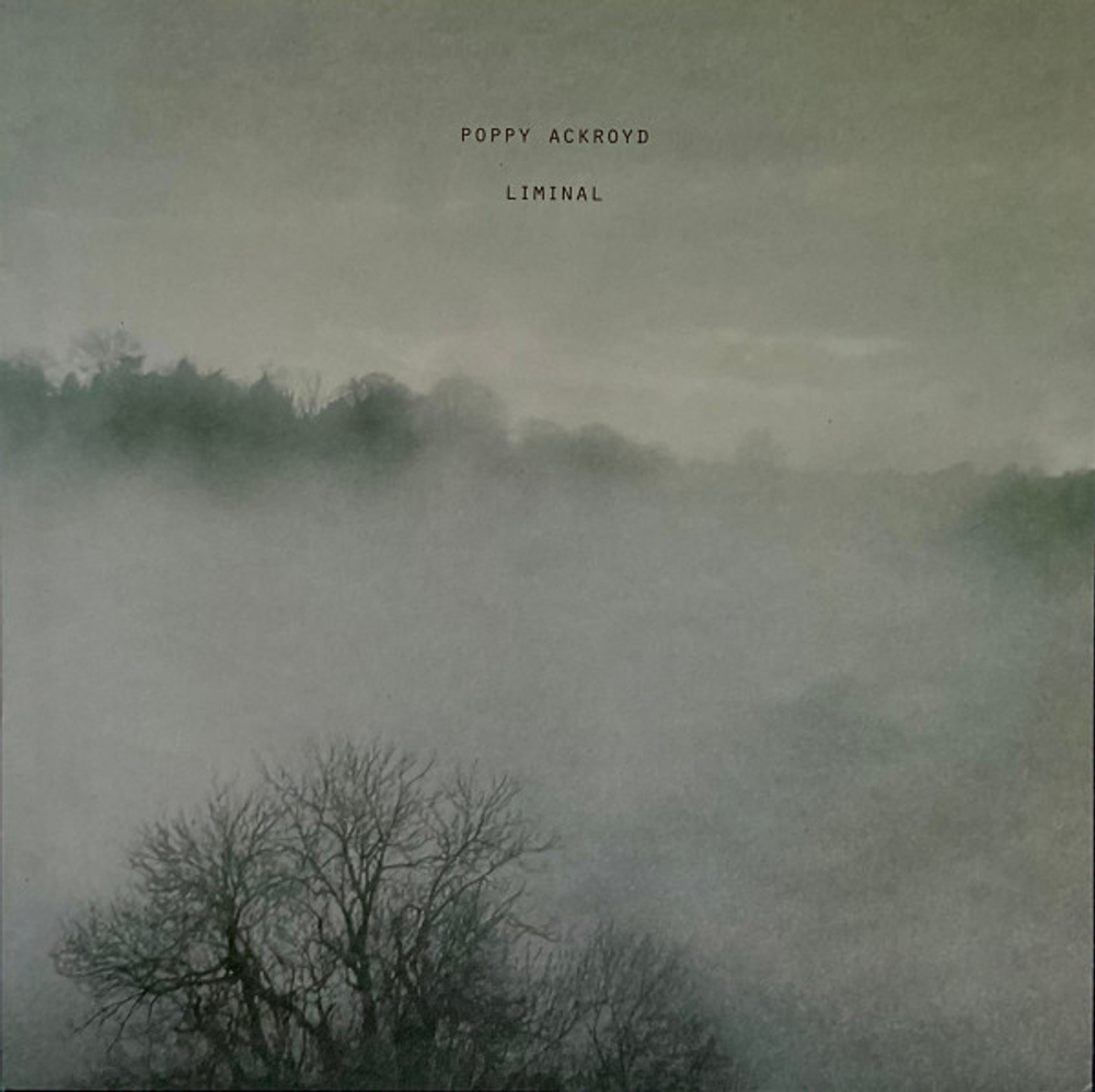 Poppy Ackroyd - Liminal