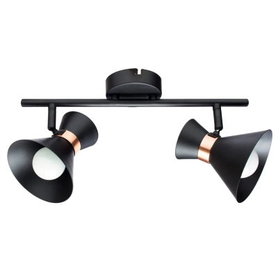 Спот Arte Lamp BALTIMORE A1406AP-2BK, 2хE14