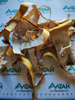 Береза кора Алтай
