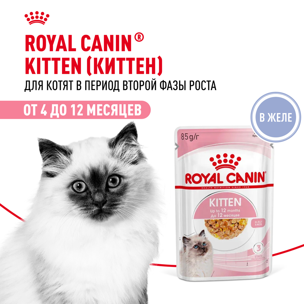 Консервы ROYAL CANIN для котят, Kitten, желе - 85 гр