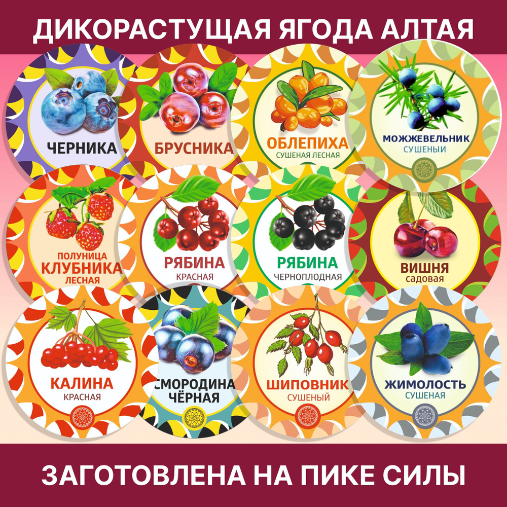Брусника Алтайская "Таёжная"