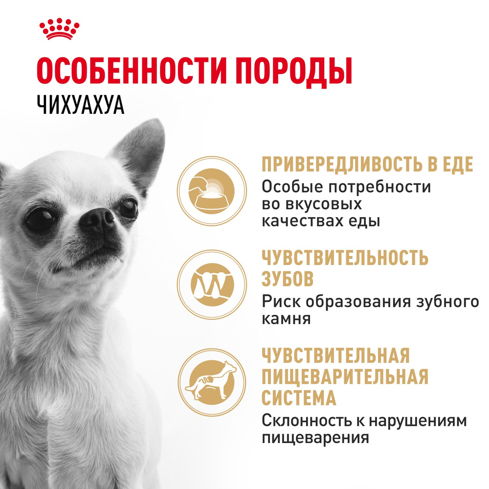 Royal Canin Chihuahua Adult Чихуахуа Эдалт Корм сухой для взрослых собак породы Чихуахуа от 8 месяцев 1,5кг