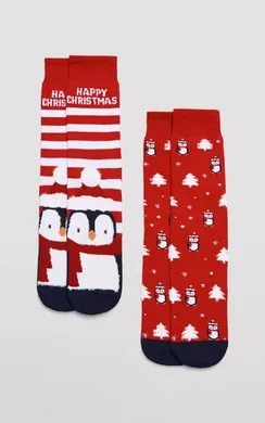 22173 Носки мужские 2 пары в упаковке