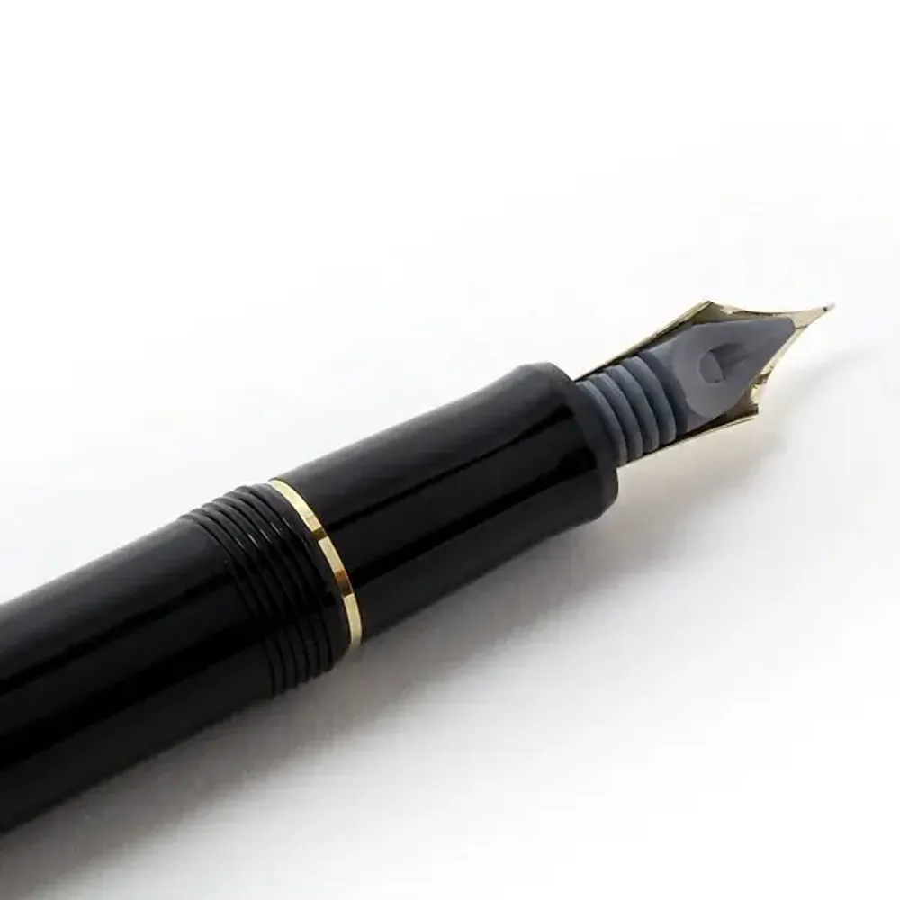 Перьевая ручка Pilot Custom 74 (FKKN-12SR-BSM) 5