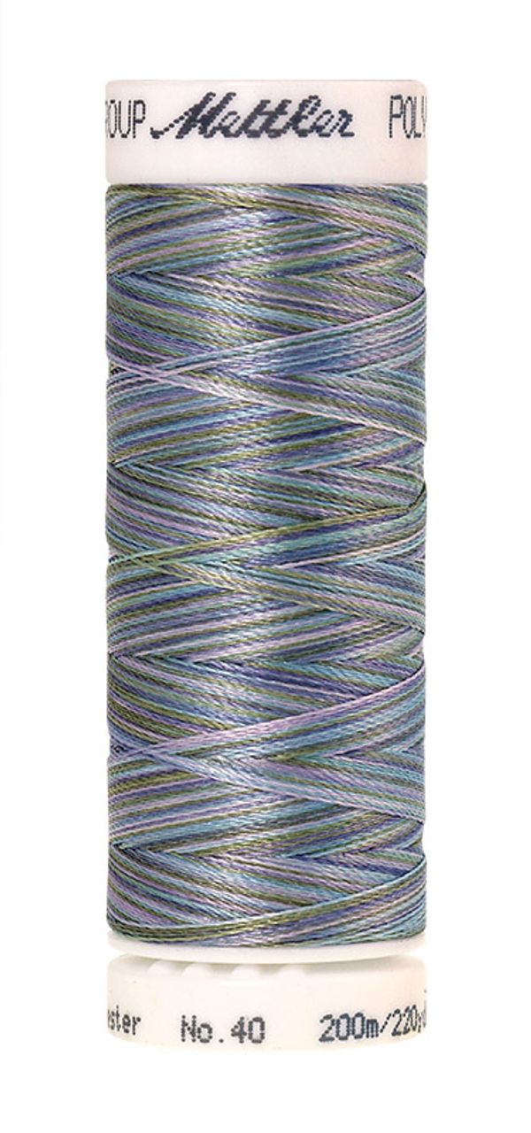 Нить вышивальная Mettler Poly Sheen Multi 40 (200 м), 5 кат. | цв. 9980