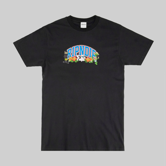 Футболка мужская Ripndip Summer Friends Tee артикул:RND10097 - купить в магазине Дайс