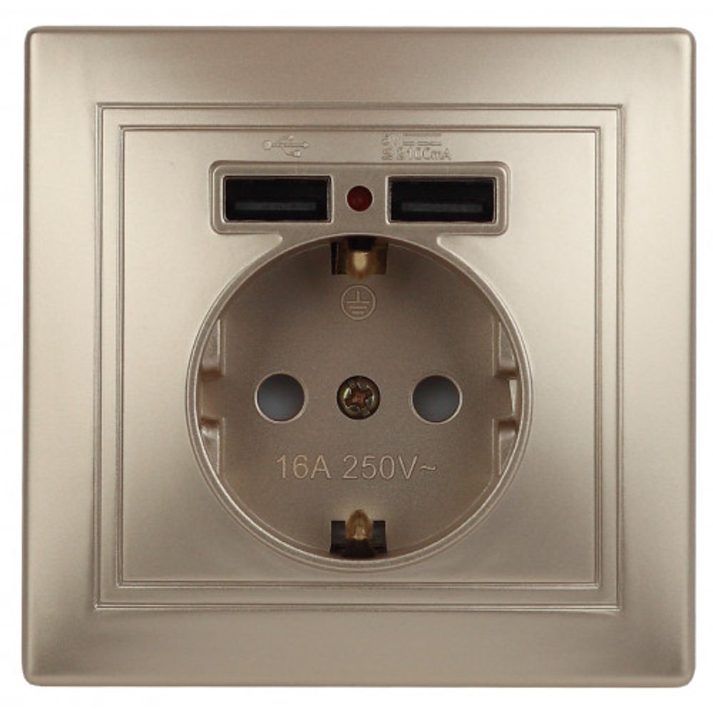 Розетка Intro Plano 1-410-04 с заземлением 2P+E Schuko со шторками 16А-250В + 2хUSB 5В-2 1А IP20 СУ шампань | Intro