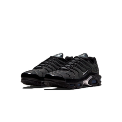 Nike Air Max Plus WMNS "Black Silver"