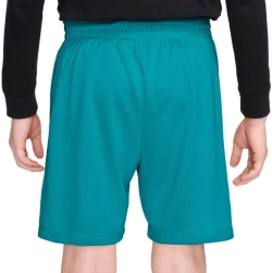 Nike Boys Dri-FIT Multi - energy/white