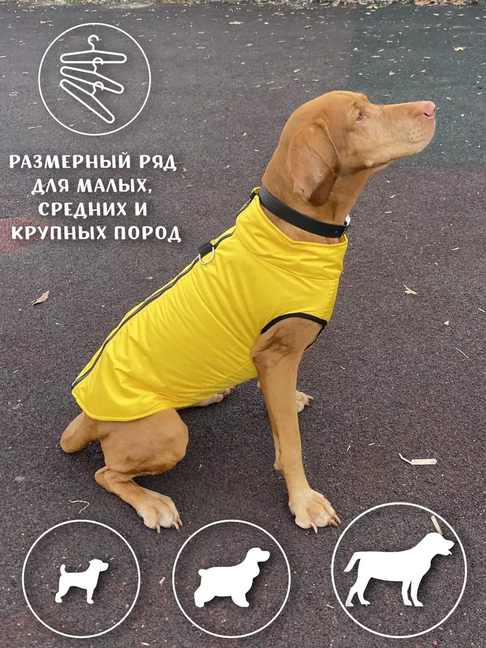 Зимний жилет для собак куртка