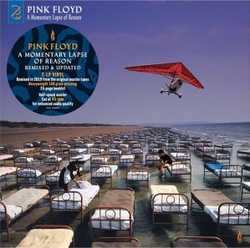 Pink Floyd — A Momentary Lapse of Reason - Remixed & Updated (LP)