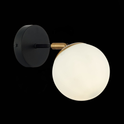 Светильник настенный ST Luce Forli SLE220401-01