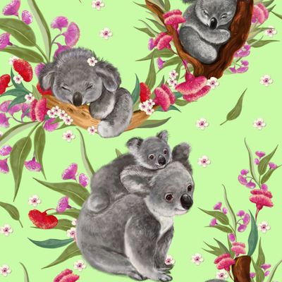 коалы