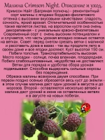Малина Кримсон Найт ремонтантная