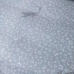 Комплект из мерсеризованного сатина «Водная гладь»